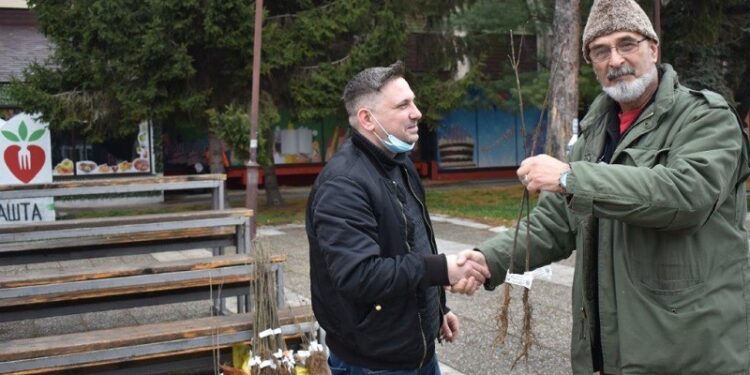 Jesenja akcija „Posadi svoj hlad“ u Kovinu