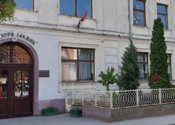 „Đurina“ škola u Kovinu dobila priznanje za odličan sajt