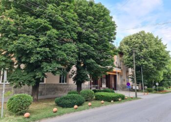 Planirana isključenja struje zbog orezivanja rastinja u Kovinu