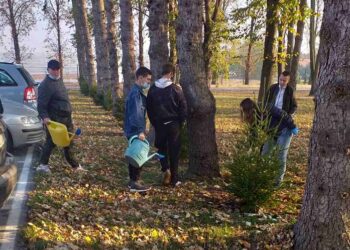 Učenici Srednje stručne škole „Vasa Pelagić“ Kovin oplemenili školski park