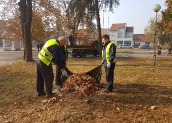 Zelenilo uređuje vetrozaštitne pojaseve
