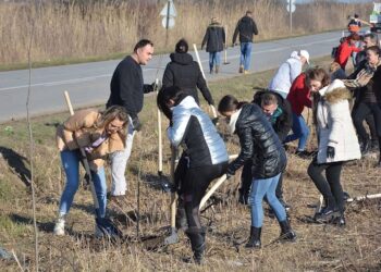 Posađeno 1.000 sadnica duž lokalnog puta Baranda – Sakule