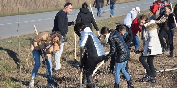Posađeno 1.000 sadnica duž lokalnog puta Baranda – Sakule