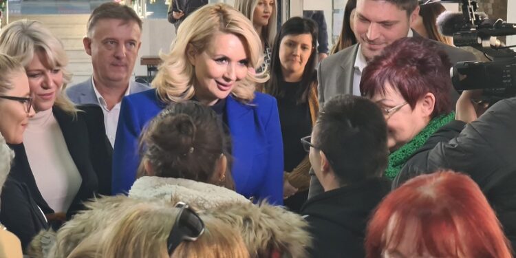 Ministarka Kisić Tepavčević u Pančevu: Donacija kombi vozila za Društvo MNRO