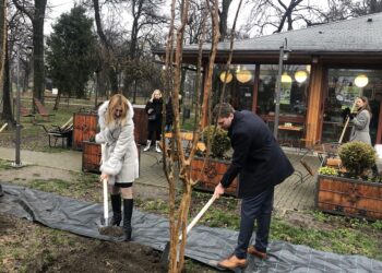 Gradonačelnik Pančeva učestvovao u akciji sadnje drveća u organizaciji Fonda PIO