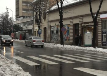 Radnici „Higijene“ u Pančevu očistili pešačke i biciklističke staze, prilaze javnim i zdravstvenim ustanovama