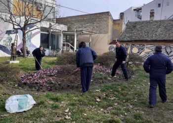 JKP ZELENILO: Početak sezone košenja