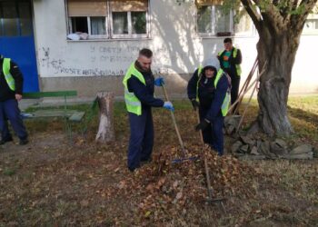 Radnici Zelenila na više lokacija
