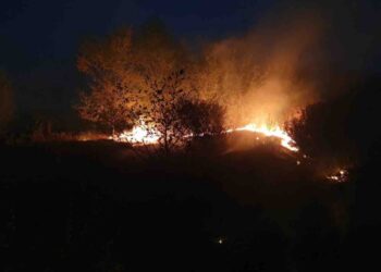 Ugašen požar na njivama između Omoljice i Brestovca