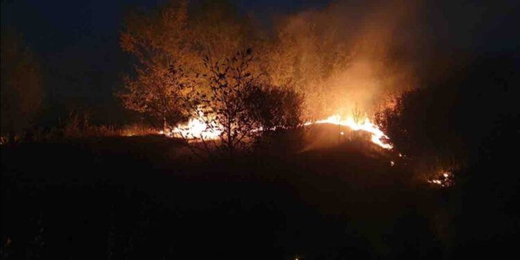 Ugašen požar na njivama između Omoljice i Brestovca