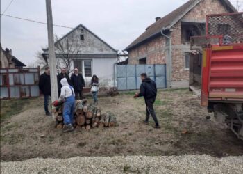 Drva za ugrožene u Dolovu