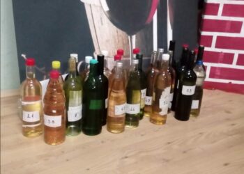 Poznati pobednici dolovačke vinarijade