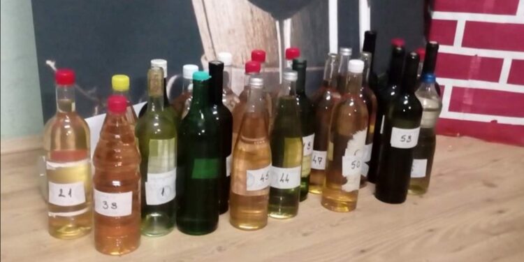 Poznati pobednici dolovačke vinarijade