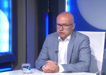 VUČEVIĆ: Gradski odbor SNS u Pančevu najbolji u Srbiji