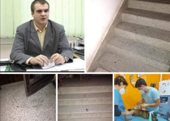 BEZDUŠNO: Divljački prebio psa Žuću