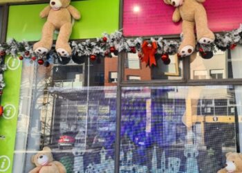 Ukradeni medvedići ispred Turističke organizacije u Pančevu