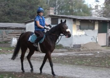 Konjičke trke u Pančevu