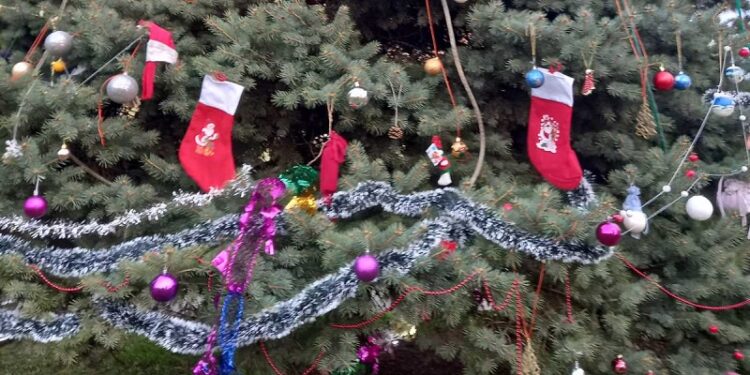 U Skorenovcu meštani tradicionalno okitili jelku