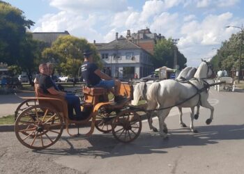 Završena deseta manifestacija „Stari lala“ u Kovinu