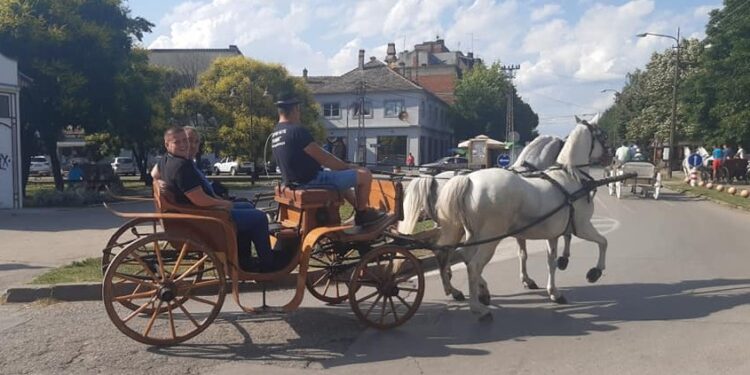 Završena deseta manifestacija „Stari lala“ u Kovinu
