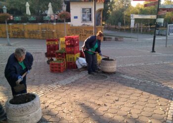Trgovi u jesenjem cveću