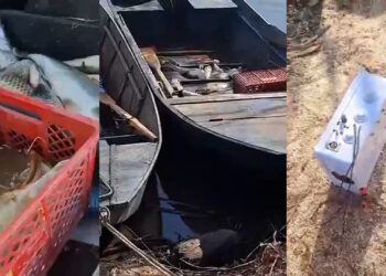 Uhapšene ribokradice: Strujom ubijali, pa krali ribu (FOTO)