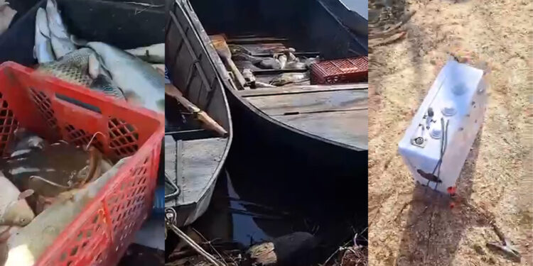 Uhapšene ribokradice: Strujom ubijali, pa krali ribu (FOTO)