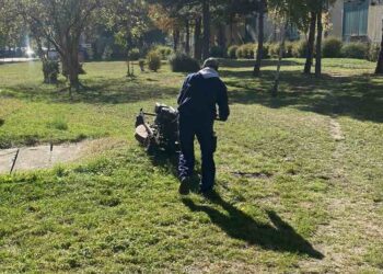 Radnici JKP Zelenilo Pančevo ulepšavaju Teslu i Sodaru i pripremaju jesenju sadnju vetrozaštitnih pojaseva