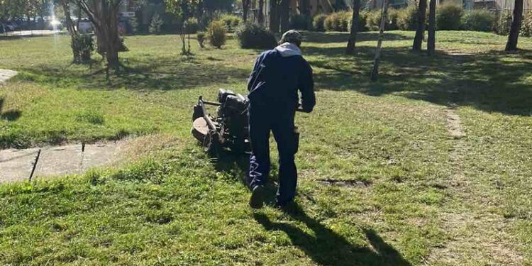 Radnici JKP Zelenilo Pančevo ulepšavaju Teslu i Sodaru i pripremaju jesenju sadnju vetrozaštitnih pojaseva