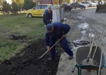 Parterno uređenje uz novoigrađene pešačke staze i saobraćajnice na pančevačkom Strelištu