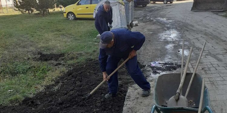 Parterno uređenje uz novoigrađene pešačke staze i saobraćajnice na pančevačkom Strelištu