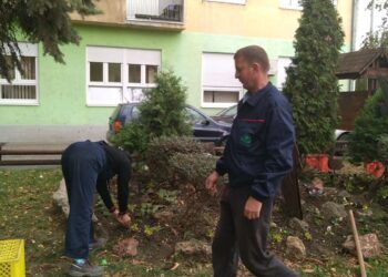 Zelenilo nastavlja sa košenjem