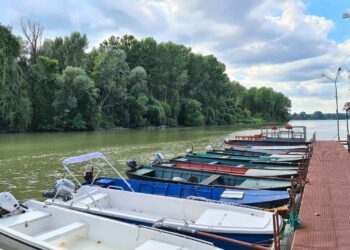 Urađene analize vode sa pančevačkih plaža