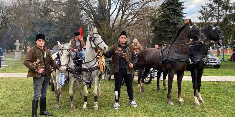 Badnji dan u Barandi: Odlazak po badnjak i polaganje u porti crkve