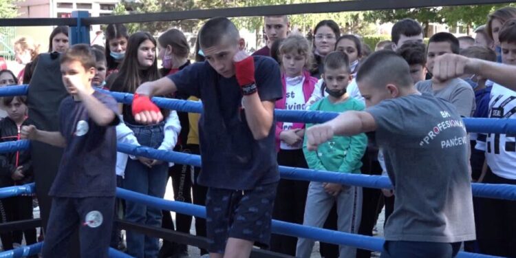 U Banatskom Brestovcu Dečju nedelju obeležavaju sportskim aktivnostima, humanitarnim radom i brojnim drugim aktivnostima
