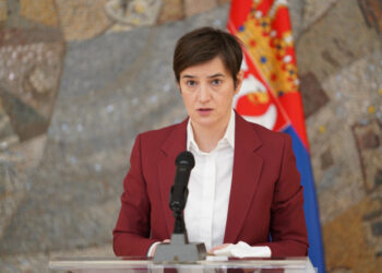 BRNABIĆ: Tražimo način da pomognemo svima koji trpe zbog ovih zatvaranja