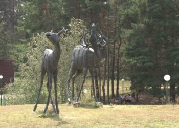 Čardak – odmor za telo i dušu