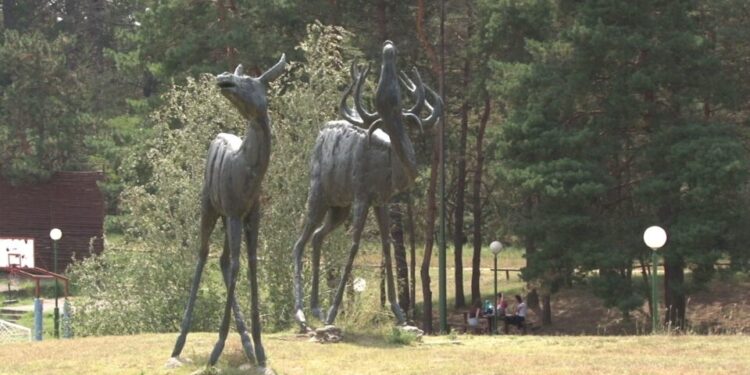 Čardak – odmor za telo i dušu