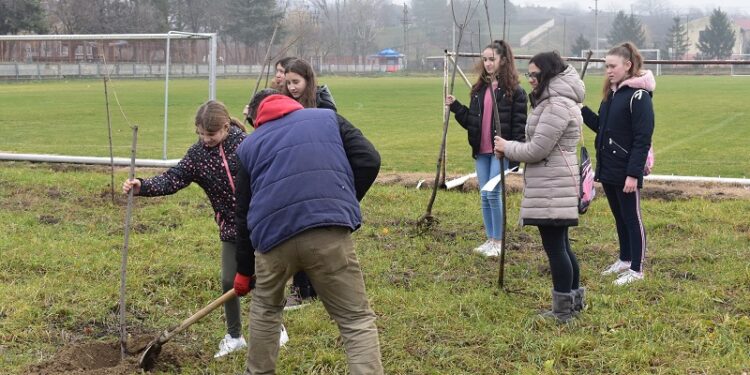 U Dolovu organizovana akcija sadnje ukrasnog medonosnog drveća