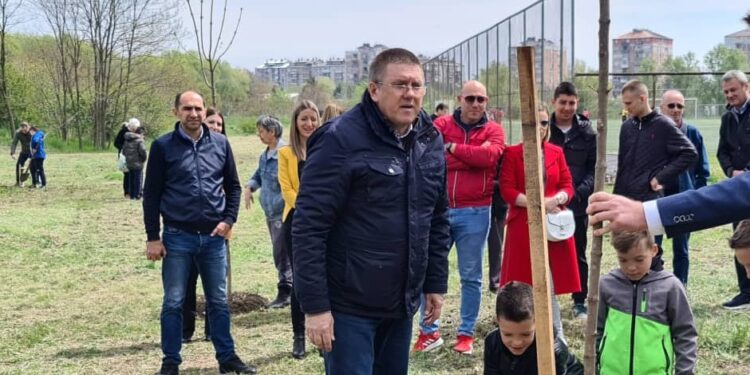 Povodom Dana planete JKP „Zelenilo“ u Pančevu zasadilo 350 sadnica platana