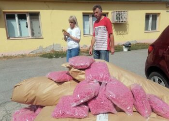 Obaveštenje o sistematskoj deratizaciji na teritoriji opštine Opovo
