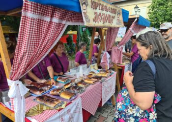 Pančevačkim udruženjima sredstva iz budžeta Pokrajine za manifestacije