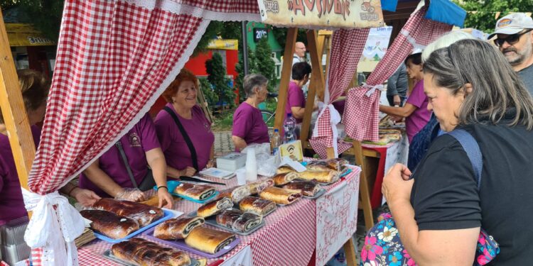 Pančevačkim udruženjima sredstva iz budžeta Pokrajine za manifestacije