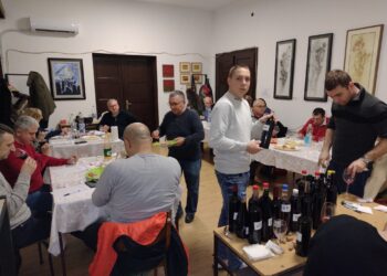 Vinarijada u Dolovu: Najbolja vina iz Jabuke, Pančeva, Zrenjanina i Dolova