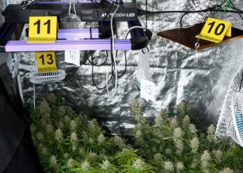 MUP: Uhapšena dva Vrščanina i Pančevac zbog droge