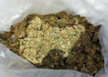 MUP: Uhapšena dva Vrščanina i Pančevac zbog droge