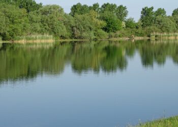 Državno prvenstvo u sportskom ribolovu na kanalu DTD