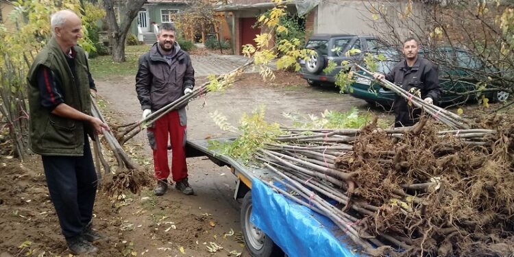 U Dolovu počinje akcija sadnje medonosnog drveća