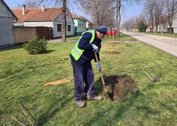 Akcija sadnje trešanja u Vojlovici na prvi dan proleća