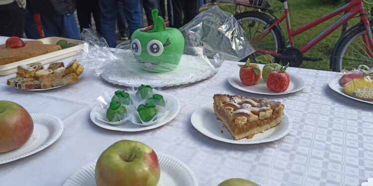 Festival jabuka u Crepaji podstakao da se o jabuci razmišlja drugačije